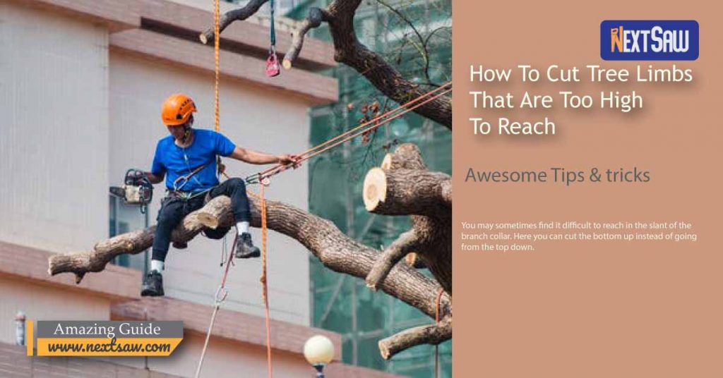 How To Cut Tree Limbs That Are Too High To Reach