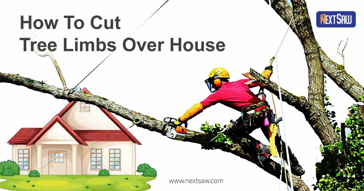 How To Cut Tree Limbs Over House