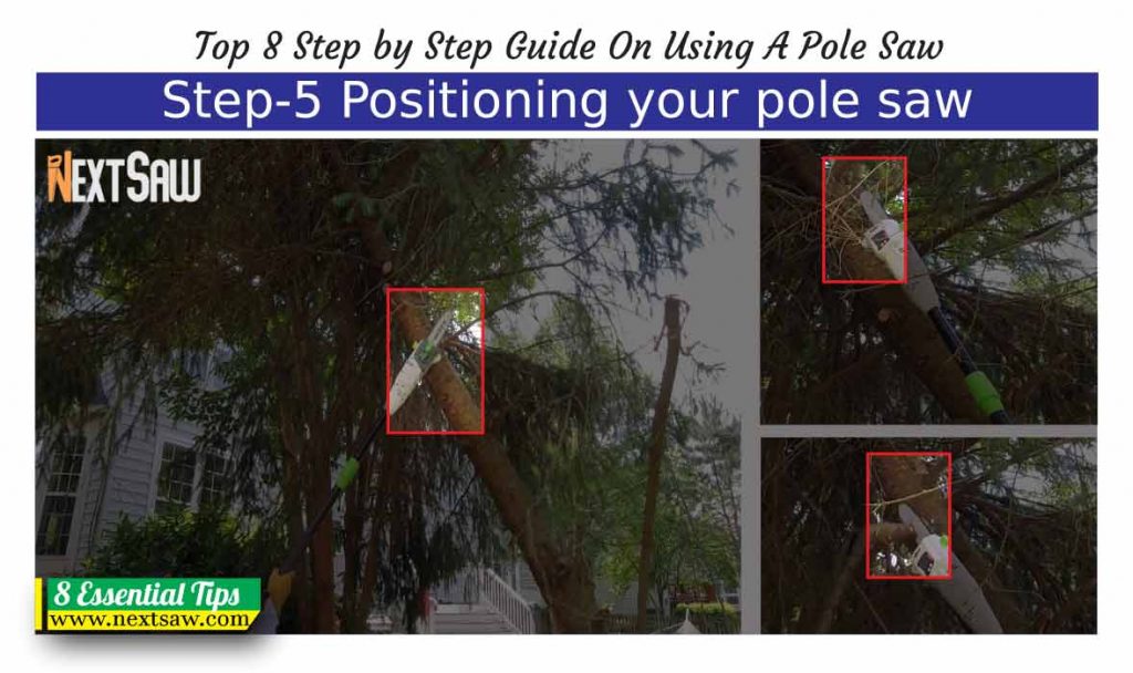 Step-5-(Positioning-your-pole-saw)